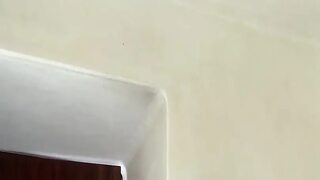 I Brash My Teeth and Pussy Fuck