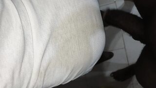 Calabar girl got fuck by bolt driver