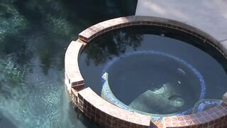 Chavon Taylor fucks and sucks a big black cock