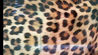 Sadie Summers Airtight Interracial Gangbang