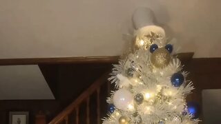 Oil Ass, Twerk, Butt Plug, Dildo Fuck, and Orgasm