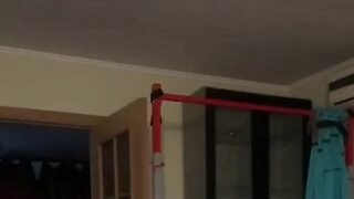 Willing to do all for her Master