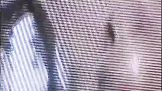 Black pussy licking fucking on the pool table