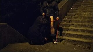 Milf in law sucking boy cock in public on dog leash