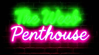 Raiden Shogun - Genshin Impact