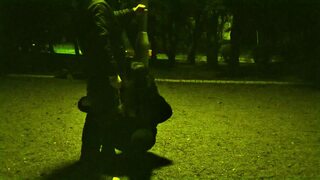 Me on a leash like a dog while the traffic passes around us and anyone can run into us    priceless 