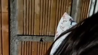 In the Morning in a Tent with a 20-year-old Girl